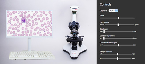Virtual microscope